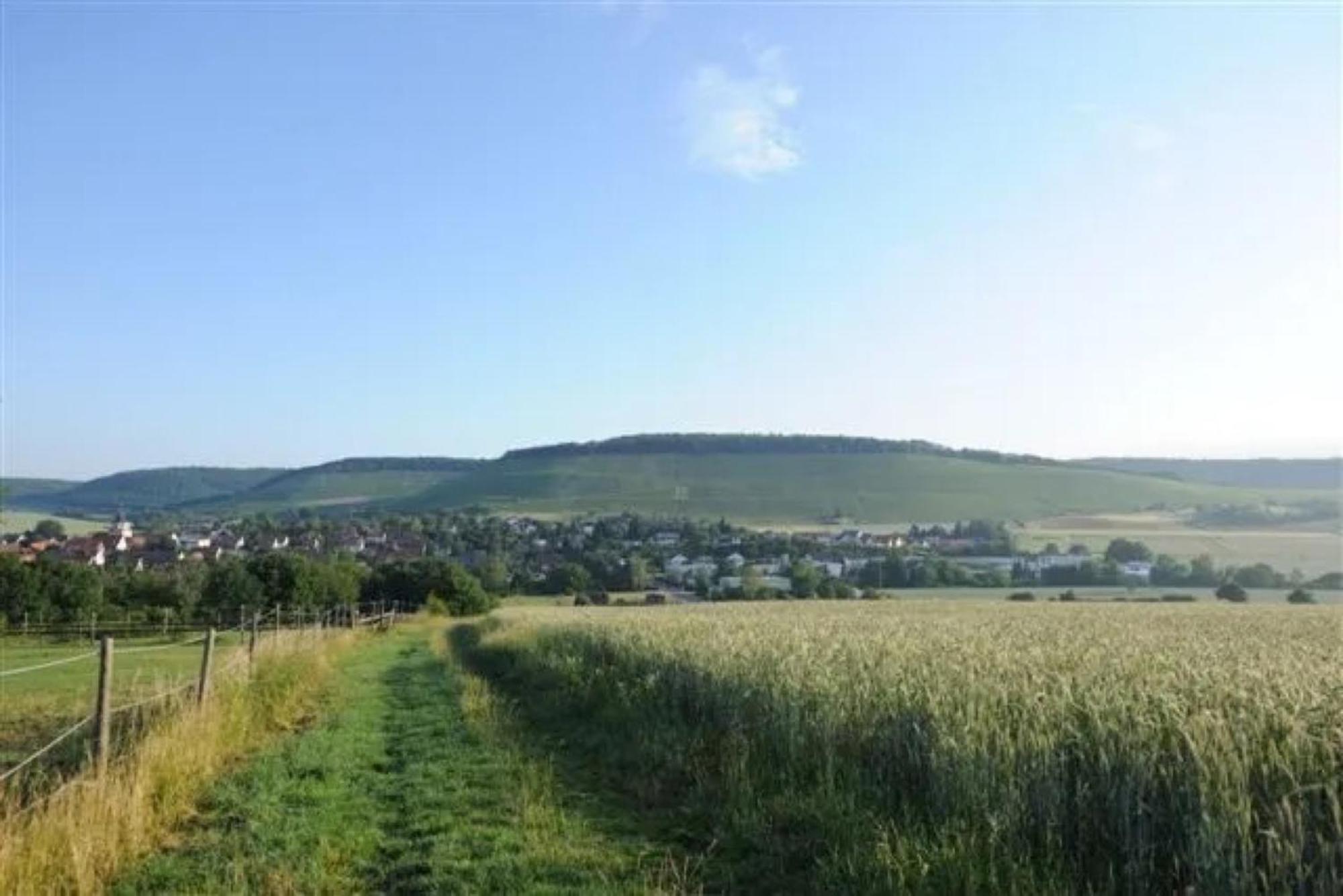 Landpension Wachtkopf Vaihingen an der Enz Dış mekan fotoğraf
