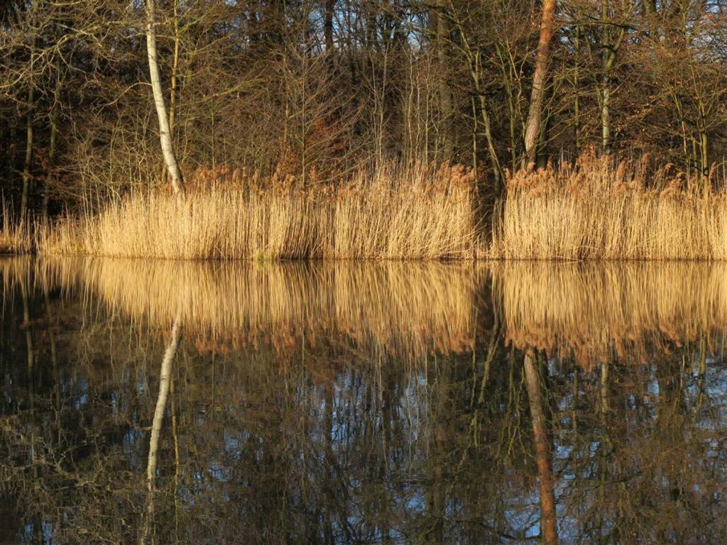 Landpension Wachtkopf Vaihingen an der Enz Dış mekan fotoğraf