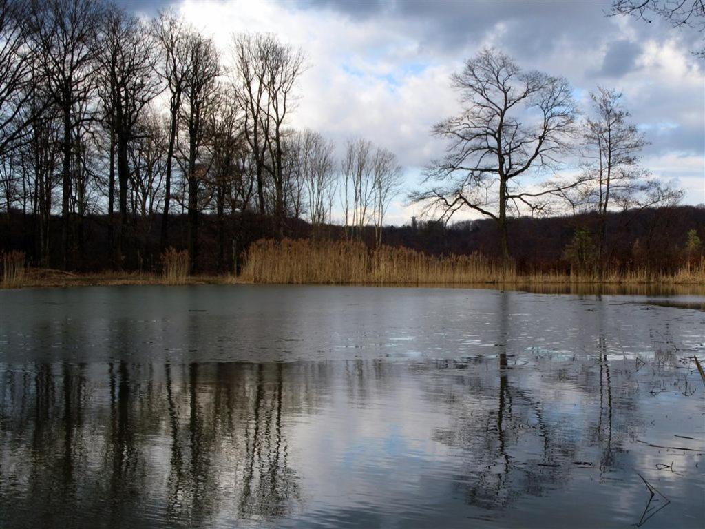 Landpension Wachtkopf Vaihingen an der Enz Dış mekan fotoğraf