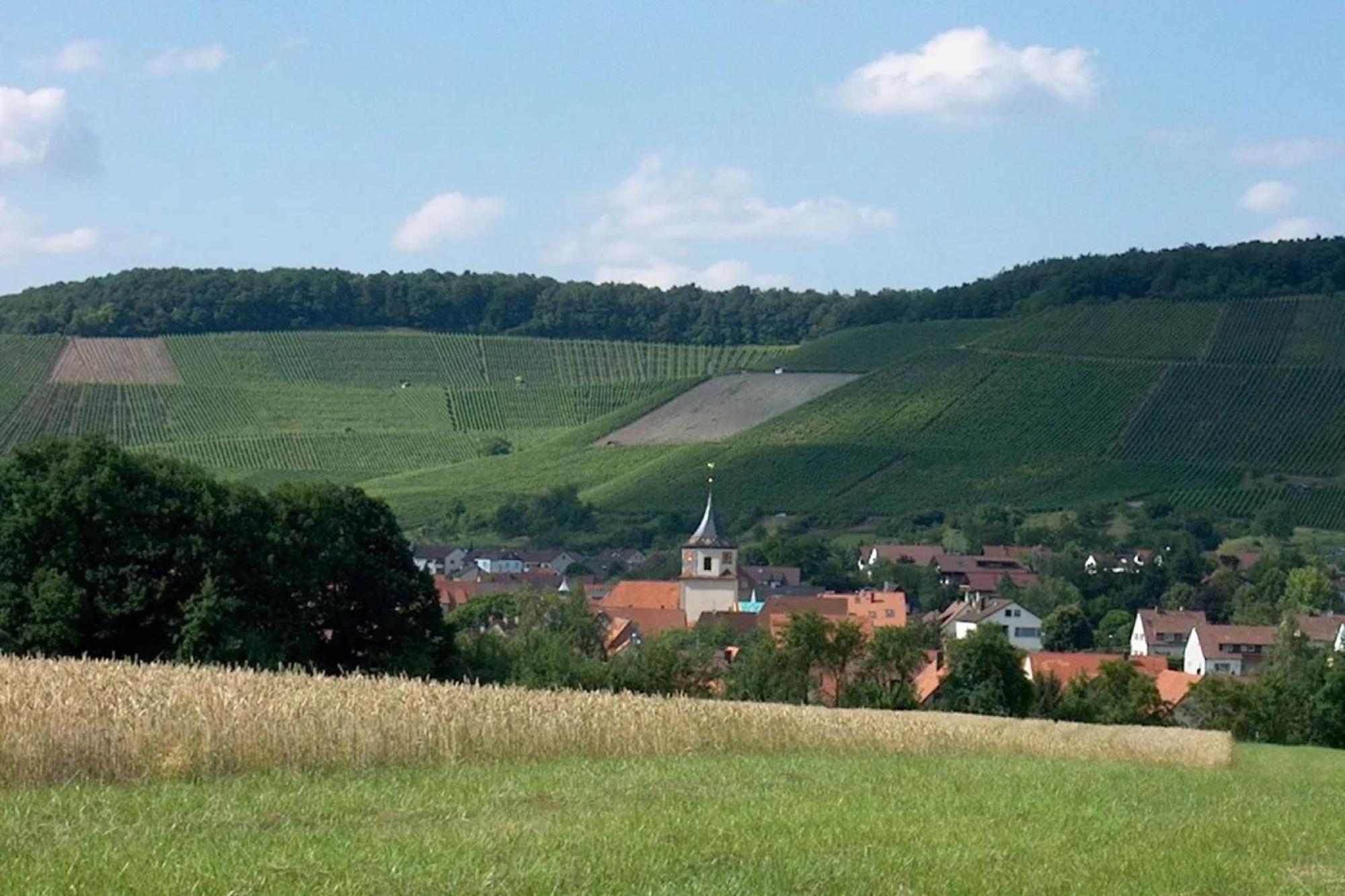 Landpension Wachtkopf Vaihingen an der Enz Dış mekan fotoğraf