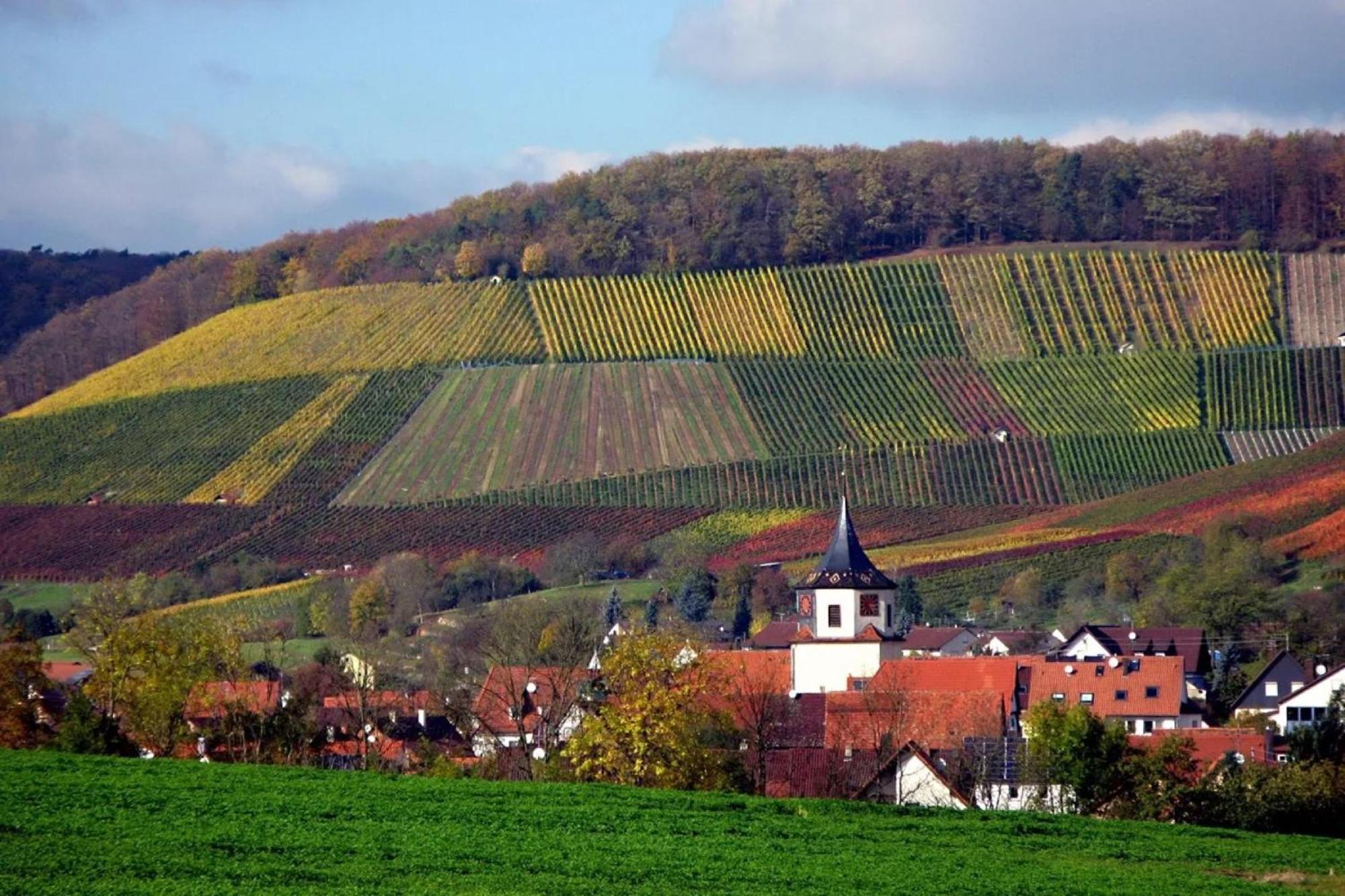 Landpension Wachtkopf Vaihingen an der Enz Dış mekan fotoğraf
